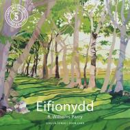 Poster Poem Cards: Eifionydd di R. Williams Parry edito da Graffeg