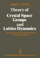 Theory of Crystal Space Groups and Lattice Dynamics di J. L. Birman edito da Springer Berlin Heidelberg