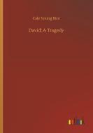David; A Tragedy di Cale Young Rice edito da Outlook Verlag