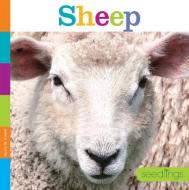 Seedlings: Sheep di Quinn M. Arnold edito da CREATIVE ED & PAPERBACKS