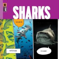 Sharks di Kate Riggs edito da Creative Company