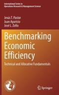 Benchmarking Economic Efficiency di Jesus T. Pastor, Juan Aparicio, Jose L. Zofio edito da Springer Nature Switzerland AG