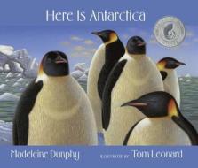 Here Is Antarctica di Madeleine Dunphy edito da Web of Life Children's Books