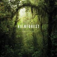 Rainforest di Lewis Blackwell edito da Abrams