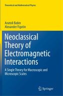 Neoclassical Theory of Electromagnetic Interactions di Anatoli Babin, Alexander Figotin edito da Springer London