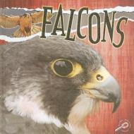 Falcons di Julie K. Lundgren edito da Rourke Publishing (FL)