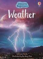 Weather di Catriona Clarke edito da Usborne Books