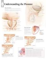 Understanding The Prostate Paper Poster di Scientific Publishing edito da Scientific Publishing Limited