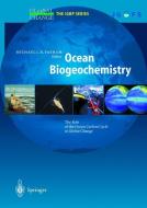 Ocean Biogeochemistry di R. J. R. Bruening, Michael J. R. Fasham edito da Springer Berlin Heidelberg