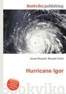 Hurricane Igor edito da Book On Demand Ltd.