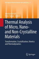 Thermal analysis of Micro, Nano- and Non-Crystalline Materials edito da Springer Netherlands