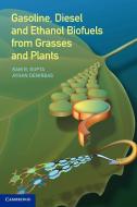 Gasoline, Diesel, and Ethanol Biofuels from Grasses and Plants di Ram B. Gupta, Ayhan Demirbas edito da Cambridge University Press