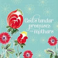 God's Tender Promises for Mothers di Jack Countryman edito da THOMAS NELSON PUB