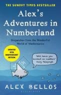 Alex's Adventures In Numberland di Alex Bellos edito da Bloomsbury Publishing Plc