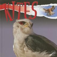 Kites di Julie K. Lundgren edito da Rourke Publishing (FL)