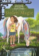 Stolen Magic: Book 3 di Whitney Sanderson edito da JOLLY FISH PR