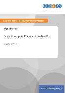 Branchenreport Energie & Rohstoffe di Anja Schneider edito da GBI-Genios Verlag