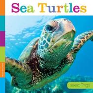 Sea Turtles di Quinn M. Arnold edito da CREATIVE ED & PAPERBACKS