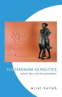 Ecofeminism as Politics di Ariel Salleh edito da Zed Books Ltd