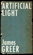 Artificial Light di James Greer edito da AKASHIC BOOKS