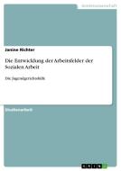 Die Entwicklung Der Arbeitsfelder Der Sozialen Arbeit di Janine Richter edito da Grin Publishing