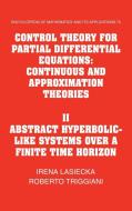 Control Theory for Partial Differential Equations di I. Lasiecka, Roberto Triggiani, Irena Lasiecka edito da Cambridge University Press