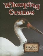 Whooping Cranes di Precious McKenzie edito da Rourke Publishing (FL)