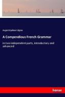A Compendious French Grammar di August Hjalmar Edgren edito da hansebooks