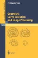 Geometric Curve Evolution and Image Processing di Frédéric Cao edito da Springer Berlin Heidelberg