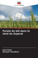 Pyrale du blé dans le nord du Gujarat di Amit Patel, Ramesh Chaudhari edito da Editions Notre Savoir