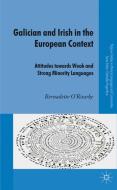 Galician and Irish in the European Context di Bernadette O'Rourke edito da Palgrave Macmillan