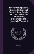 The Flowering Plants, Grasses, Sedges, And Ferns Of Great Britain, And Their Allies, The Club Mosses, Pepperworts And Horsetails Volume 5 di Anne Pratt edito da Palala Press