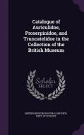 Catalogue Of Auriculidoe, Proserpinidoe, And Truncatelidoe In The Collection Of The British Museum edito da Palala Press