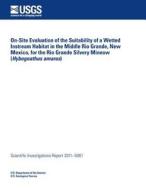 On-Site Evaluation of the Suitability of a Wetted Instream Habitat in the Middle Rio Grande, New Mexico, for the Rio Grande Silvery Minnow (Hybognathu di U. S. Department of the Interior edito da Createspace