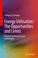 Energy Utilisation: The Opportunities And Limits di Wolfgang Osterhage edito da Springer International Publishing