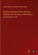 Illustrated Catalogue of the Collections Obtained from the Indians of New Mexico and Arizona in 1879 di James Stevenson, Frederick Webb Hodge edito da Outlook Verlag