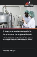 Il nuovo orientamento della formazione in apprendistato di Alioune Ndiaye edito da Edizioni Sapienza