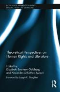 Theoretical Perspectives on Human Rights and Literature di Elizabeth Swanson Goldberg edito da Routledge