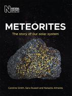 Meteorites di Caroline Smith, Sara Russell, Natasha Almeida edito da The Natural History Museum