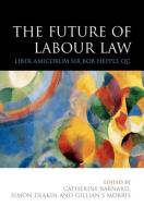 The Future of Labour Law: Liber Amicorum Bob Hepple Qc edito da IRISH ACADEMIC PR