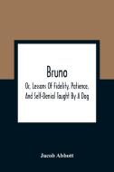 Bruno; Or, Lessons Of Fidelity, Patience, And Self-Denial Taught By A Dog di Jacob Abbott edito da Alpha Editions