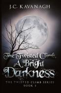 A Bright Darkness di J. C. Kavanagh edito da FIREFLY BOOKS LTD