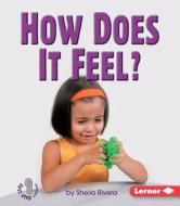 How Does It Feel? di Sheila Rivera edito da LERNER CLASSROOM
