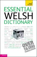 Essential Welsh Dictionary: Teach Yourself di Edwin C. Lewis edito da John Murray Press