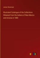 Illustrated Catalogue of the Collections Obtained from the Indians of New Mexico and Arizona in 1880 di James Stevenson edito da Outlook Verlag