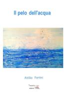 Il pelo dell'acqua di Attilio Fortini edito da Temperino rosso edizioni