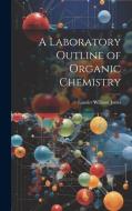 A Laboratory Outline of Organic Chemistry di Lauder William Jones edito da LEGARE STREET PR