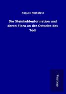 Die Steinkohlenformation und deren Flora an der Ostseite des Tödi di August Rothpletz edito da TP Verone Publishing