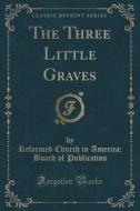 The Three Little Graves (classic Reprint) di Reformed Church in America Publication edito da Forgotten Books