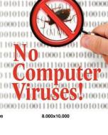 No Computer Viruses: N O Anti-Virus Software Needed di J. Lynn edito da Createspace